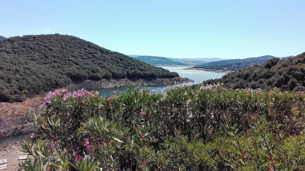 Hotel Aldiola Country Resort Sant'Antonio di Gallura Eksteriør bilde