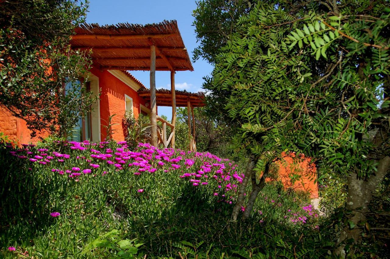 Hotel Aldiola Country Resort Sant'Antonio di Gallura Eksteriør bilde